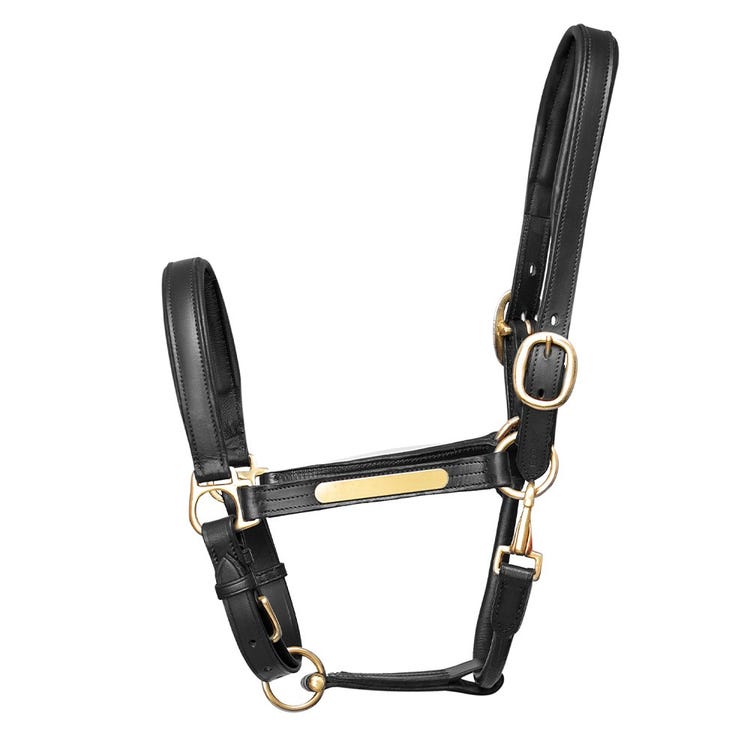 Hy Equestrian Leather Head Collar image 1