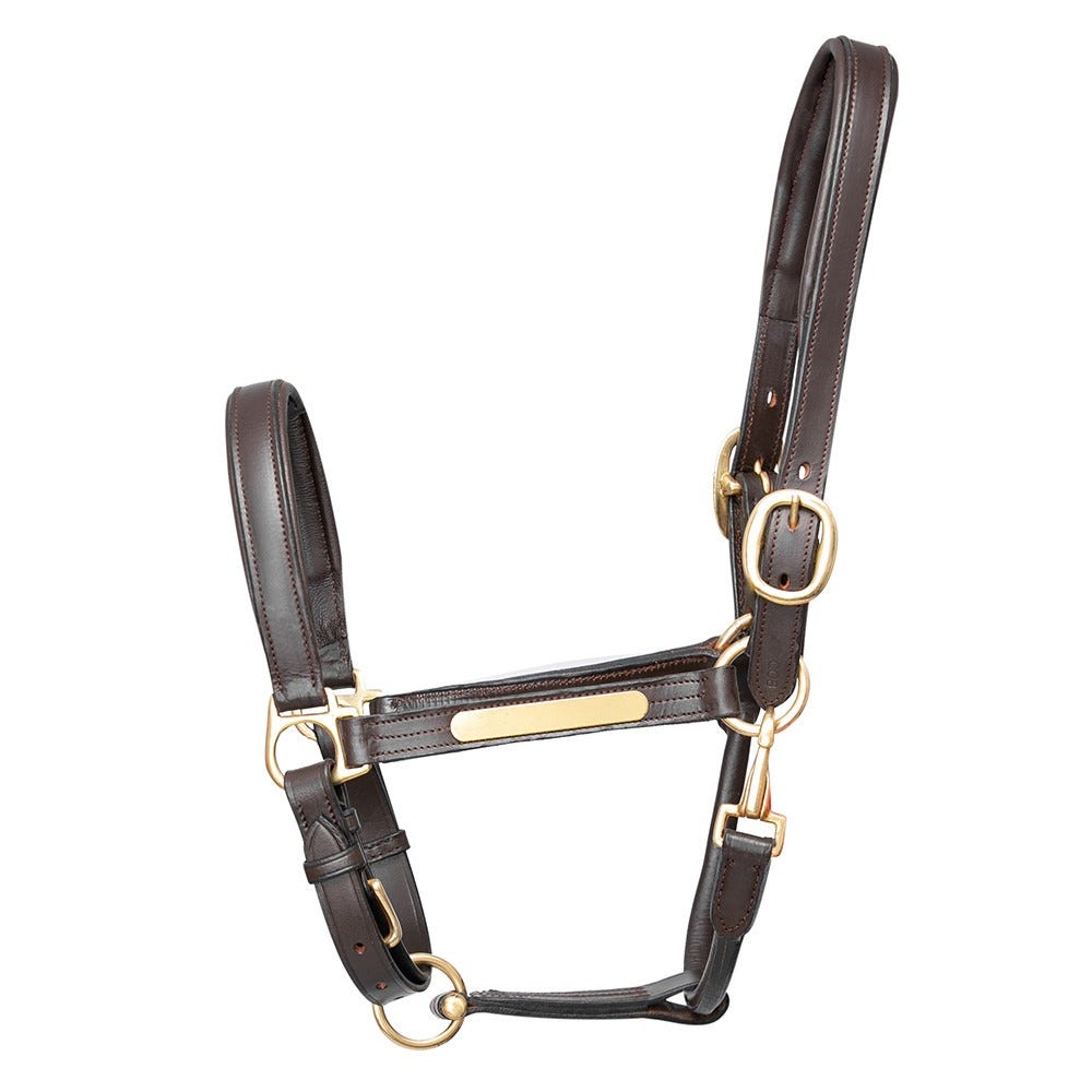 Hy Equestrian Leather Head Collar image 3