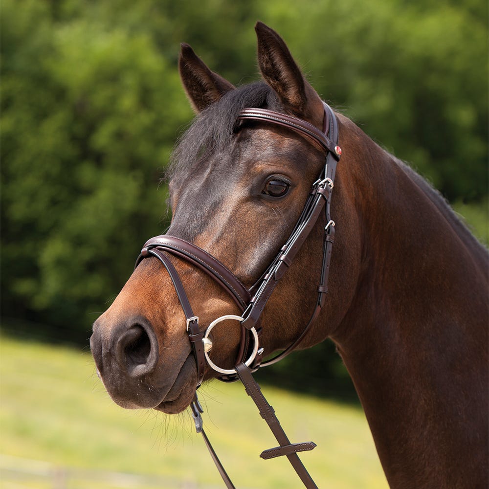 Kieffer Ergonomic Event Snaffle Bridle image 3