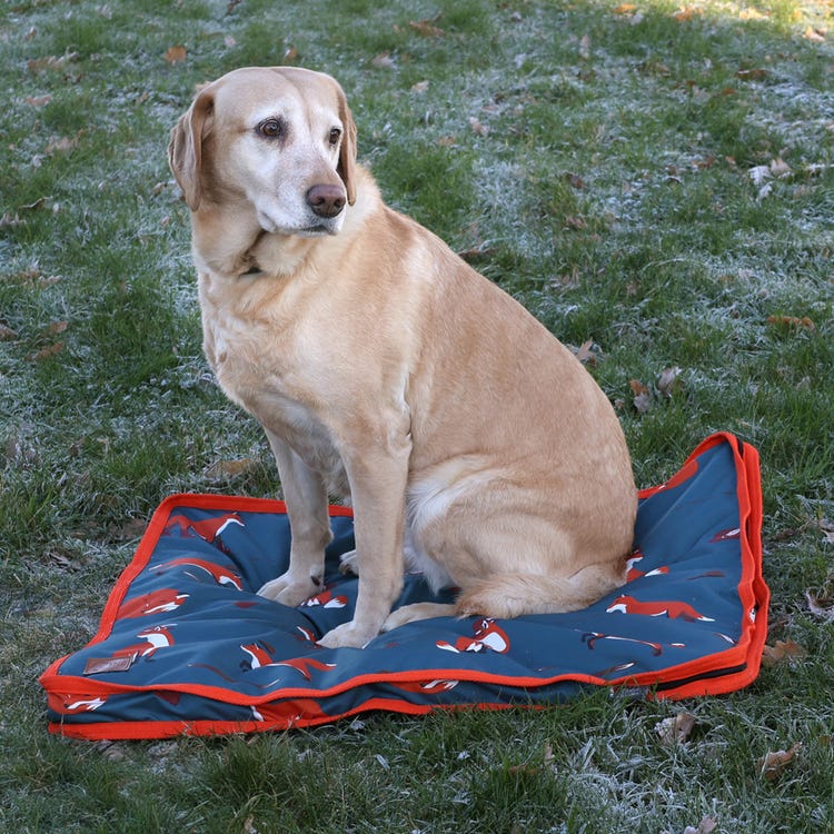 Benji &amp; Flo Frivolous Fox Dog Bed image 1