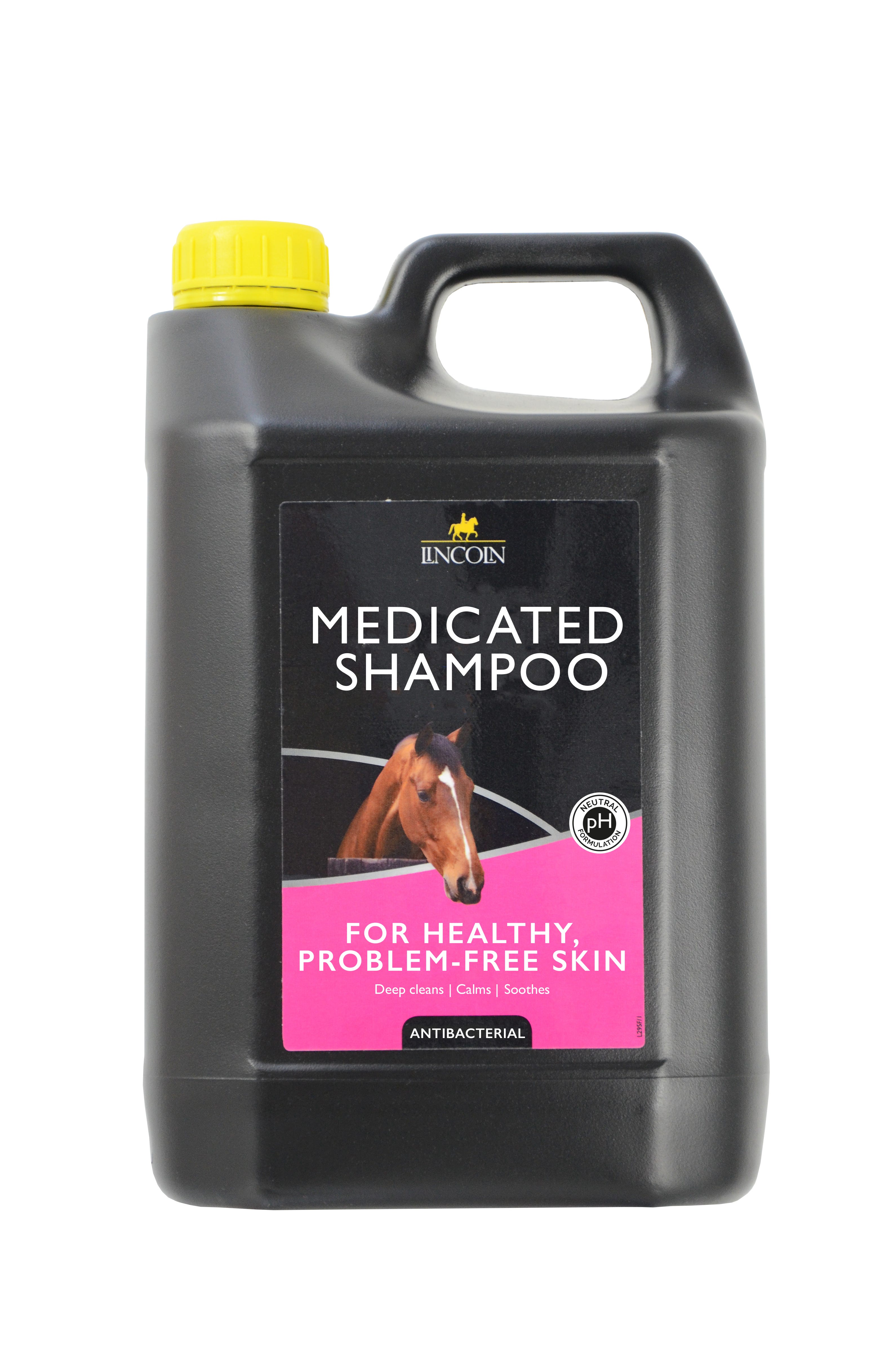 Lincoln Medicated Shampoo image 3