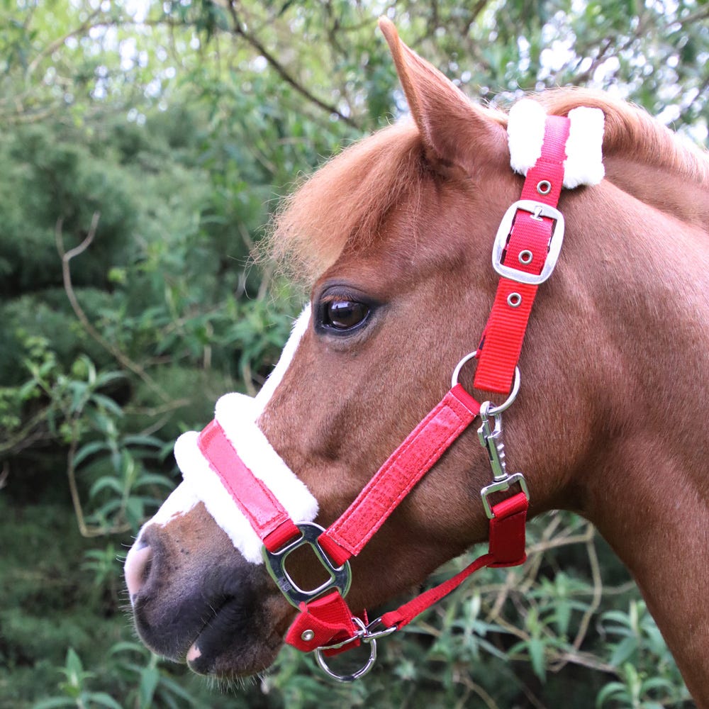 Hy Equestrian Christmas Santa Head Collar image 2