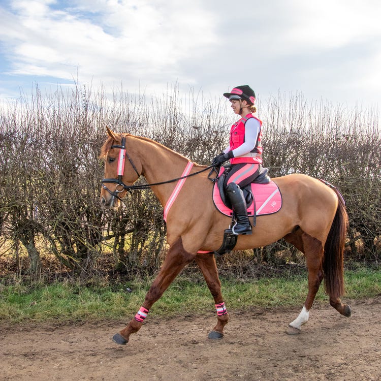 Reflector Comfort Pad by Hy Equestrian image 5