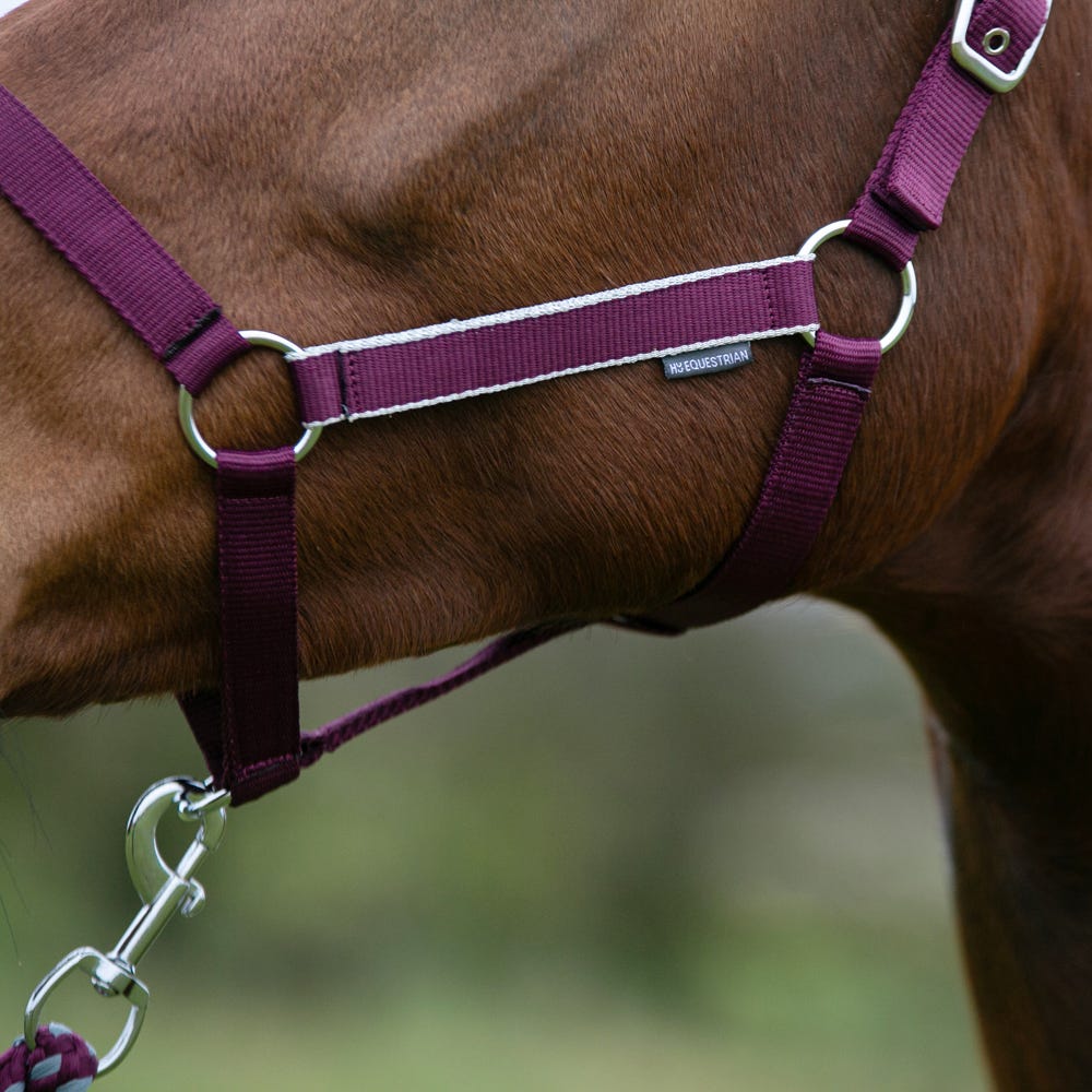 Hy Equestrian Synergy Head Collar &amp; Lead Rope image 5