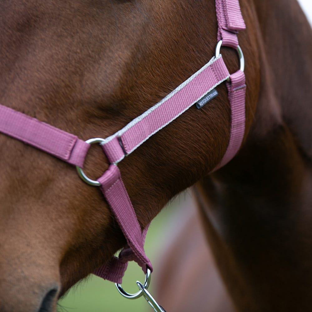 Hy Equestrian Synergy Head Collar &amp; Lead Rope image 11