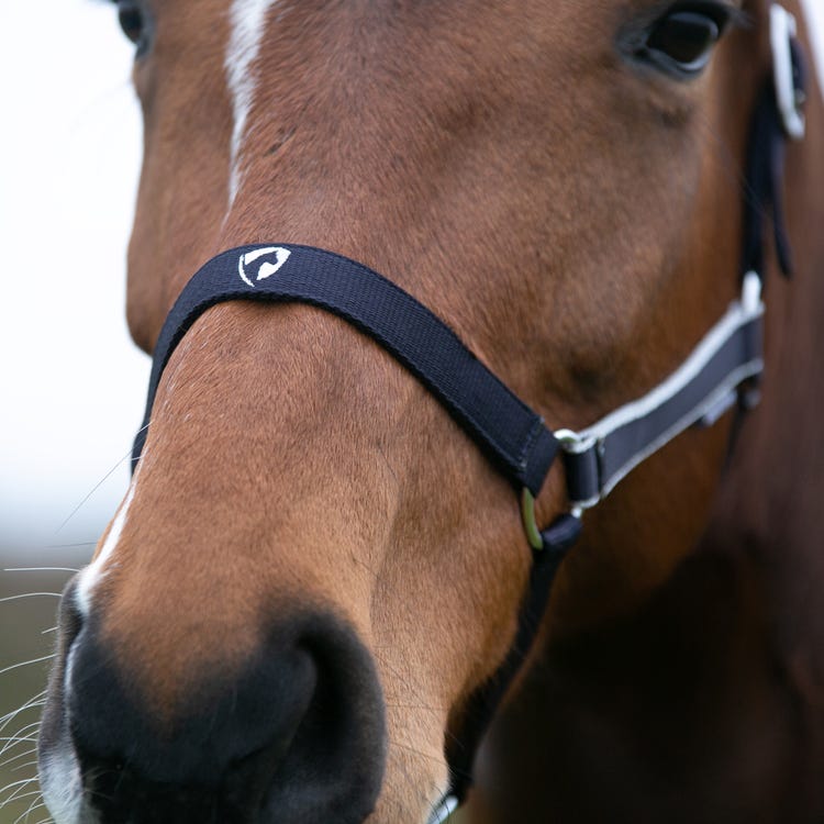 Hy Equestrian Synergy Head Collar &amp; Lead Rope image 17