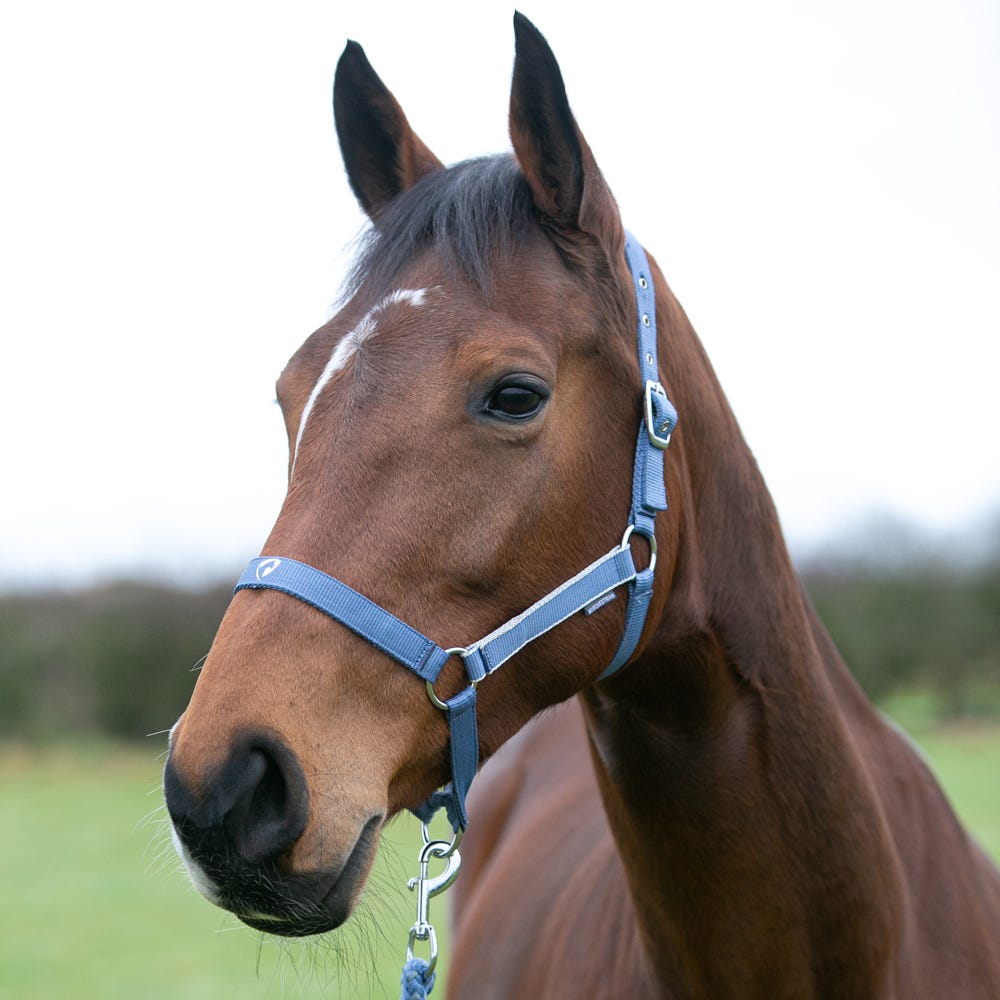 Hy Equestrian Synergy Head Collar &amp; Lead Rope image 23