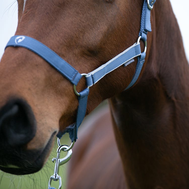 Hy Equestrian Synergy Head Collar &amp; Lead Rope image 24