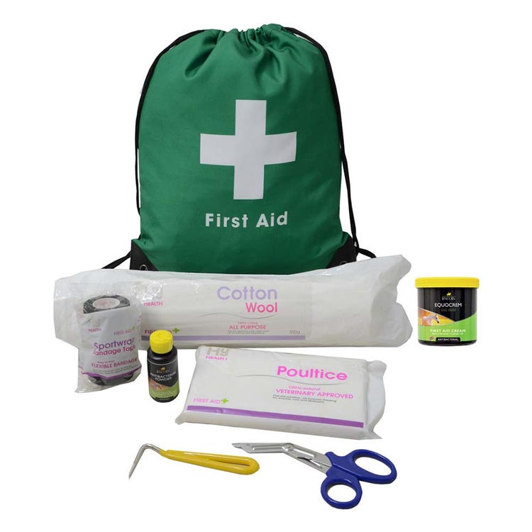 Lincoln First Aid Travel Bag image 1