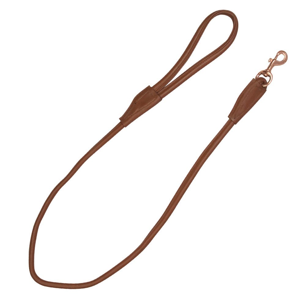 Benji &amp; Flo Superior Rolled Leather Dog Lead  image 2