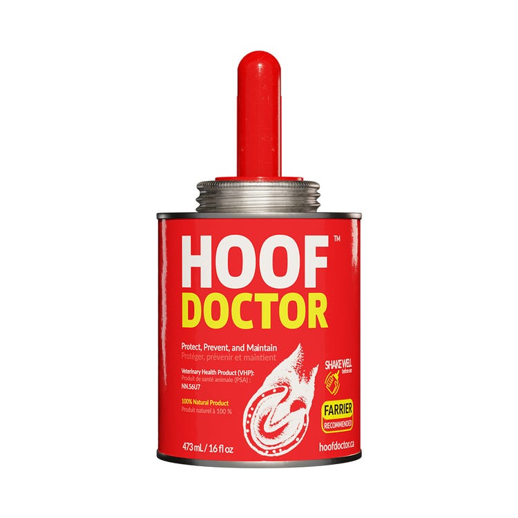 Equine One Hoof Doctor image 1