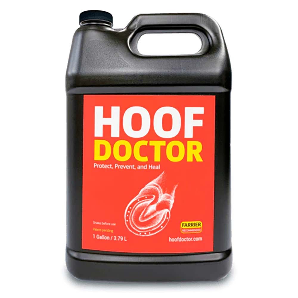 Equine One Hoof Doctor image 2