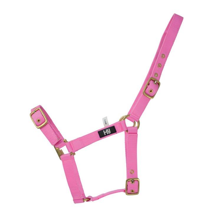 Hy Equestrian Holly Fully Adjustable Head Collar image 1