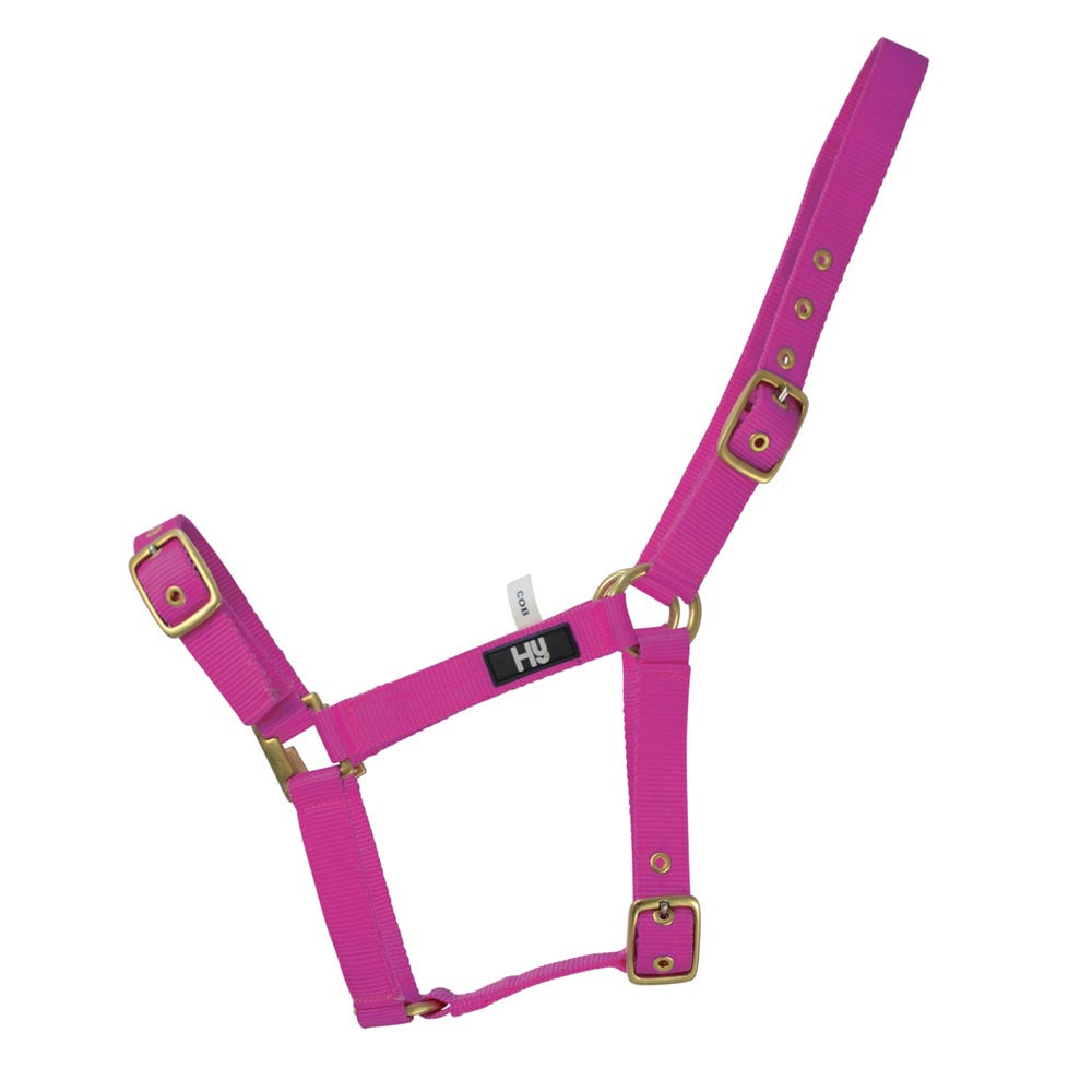 Hy Equestrian Holly Fully Adjustable Head Collar image 2