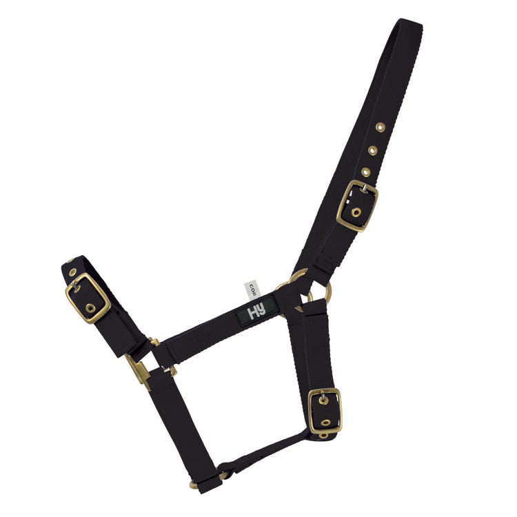 Hy Equestrian Holly Fully Adjustable Head Collar image 4