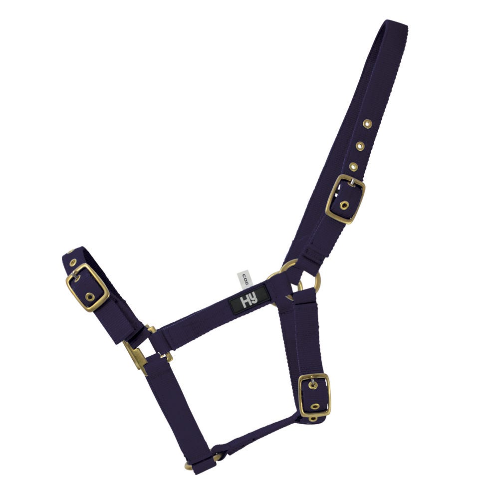 Hy Equestrian Holly Fully Adjustable Head Collar image 6