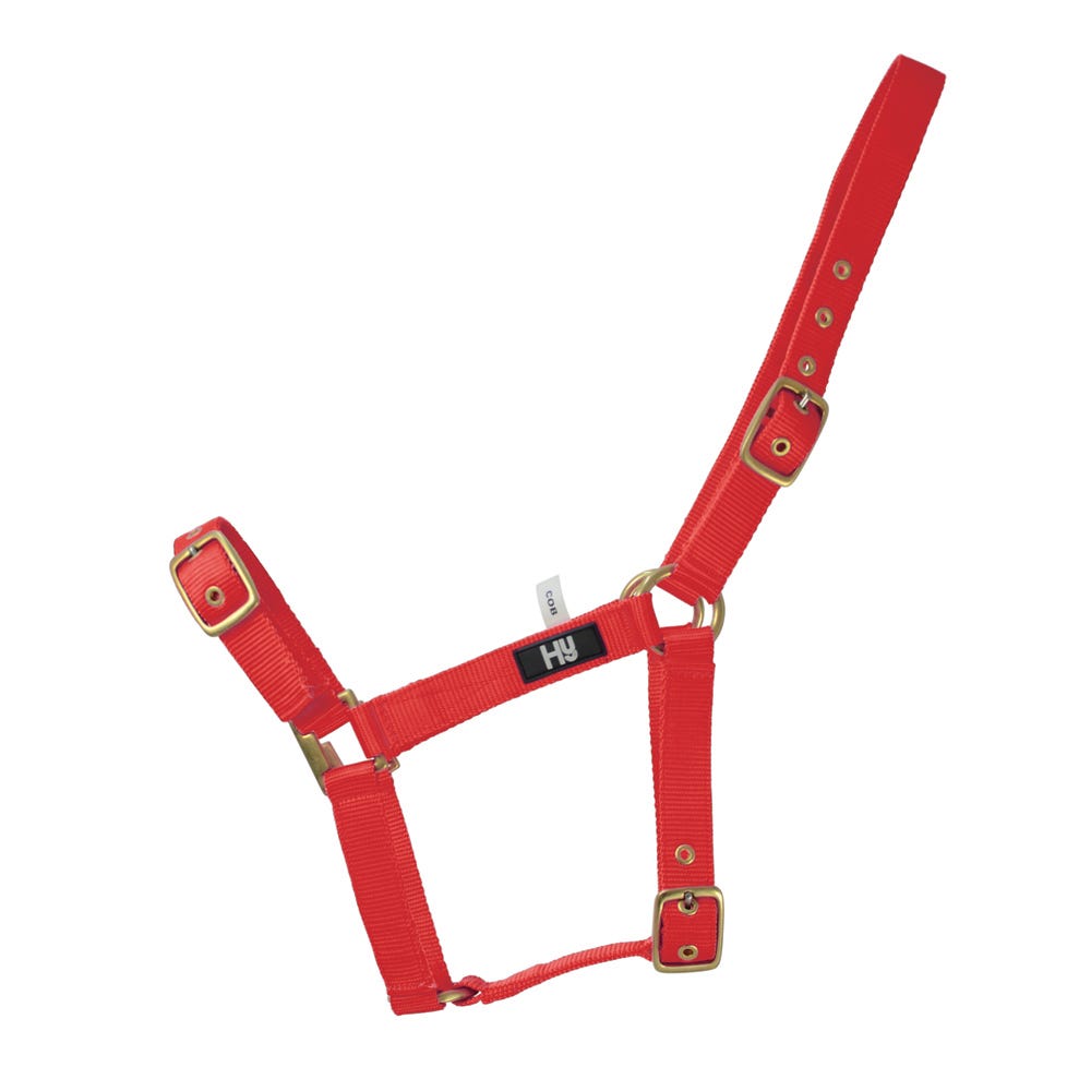 Hy Equestrian Holly Fully Adjustable Head Collar image 7