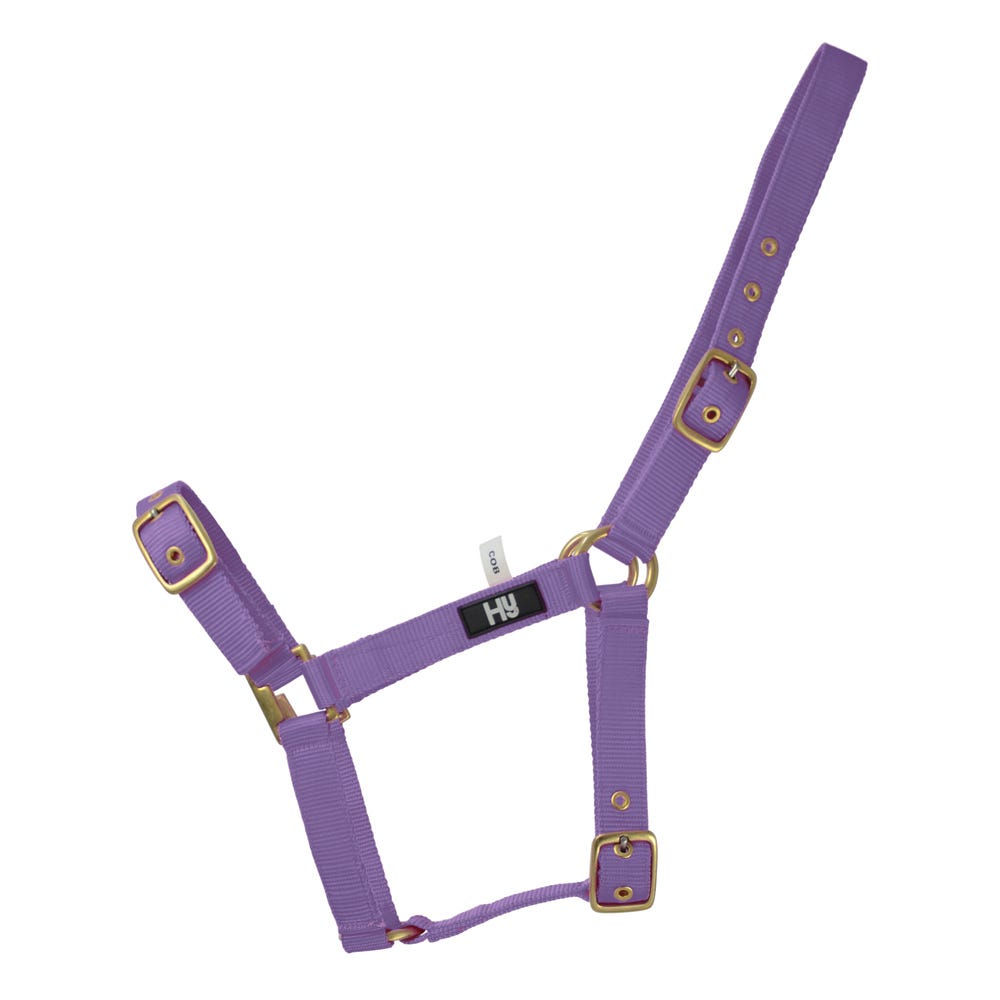 Hy Equestrian Holly Fully Adjustable Head Collar image 8