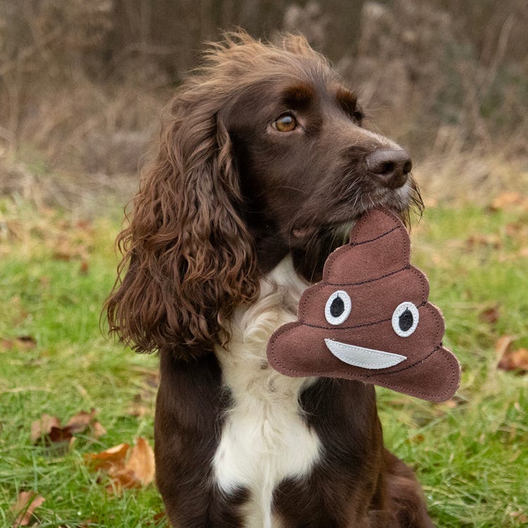 Benji &amp; Flo Crazy Faces Dog Toys - Ooopsie Poopsie image 2