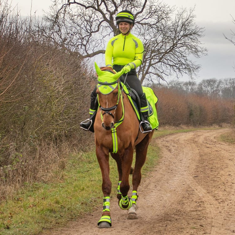 Reflector Martingale by Hy Equestrian image 2