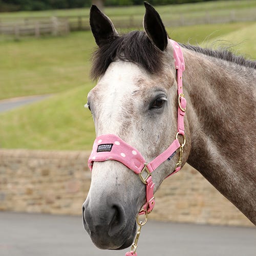 Supreme Products Dotty Fleece Head Collar &amp; Lead Rope image 3