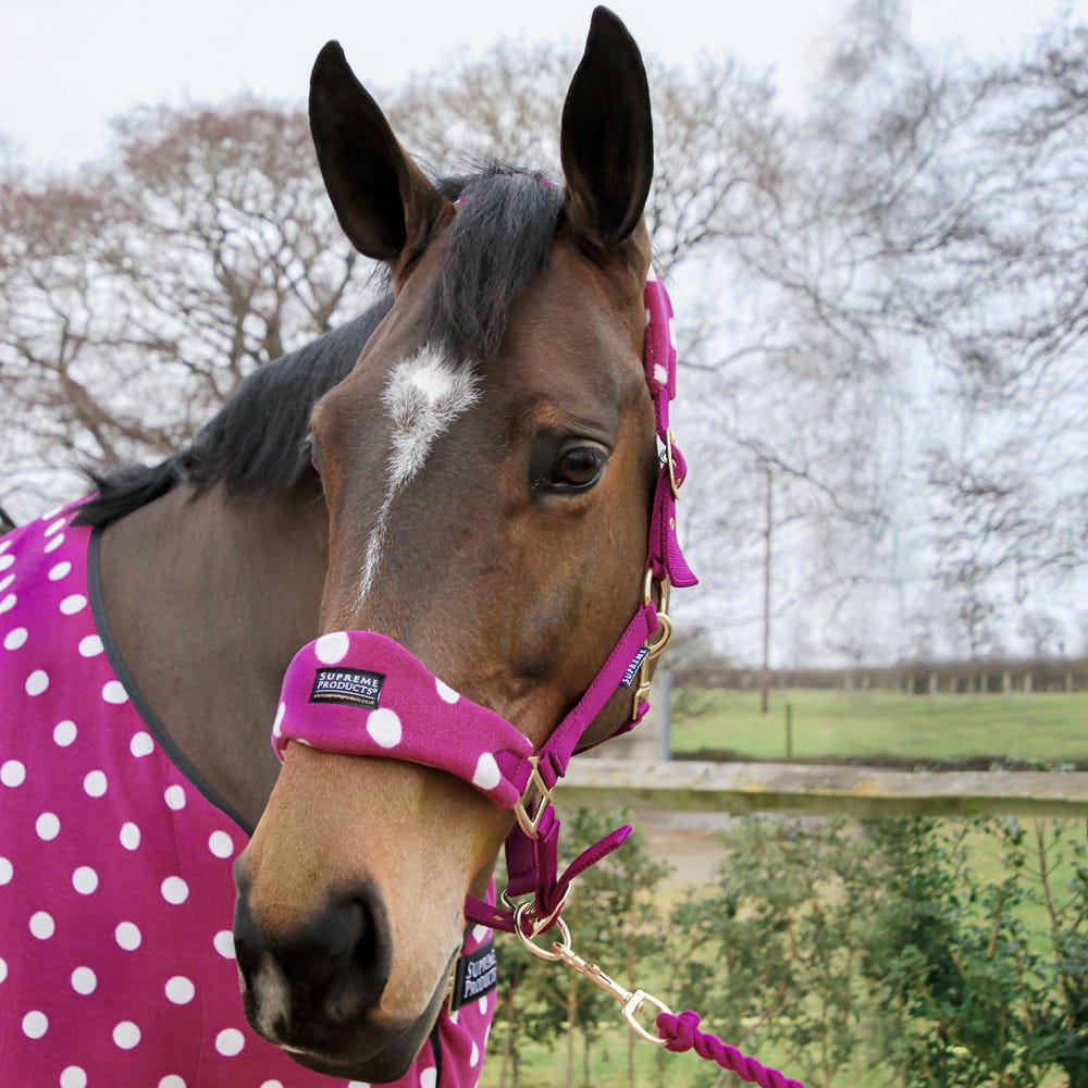 Supreme Products Dotty Fleece Head Collar &amp; Lead Rope image 1