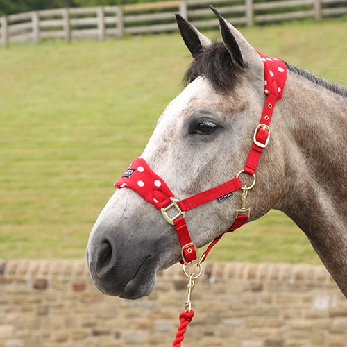 Supreme Products Dotty Fleece Head Collar &amp; Lead Rope image 2