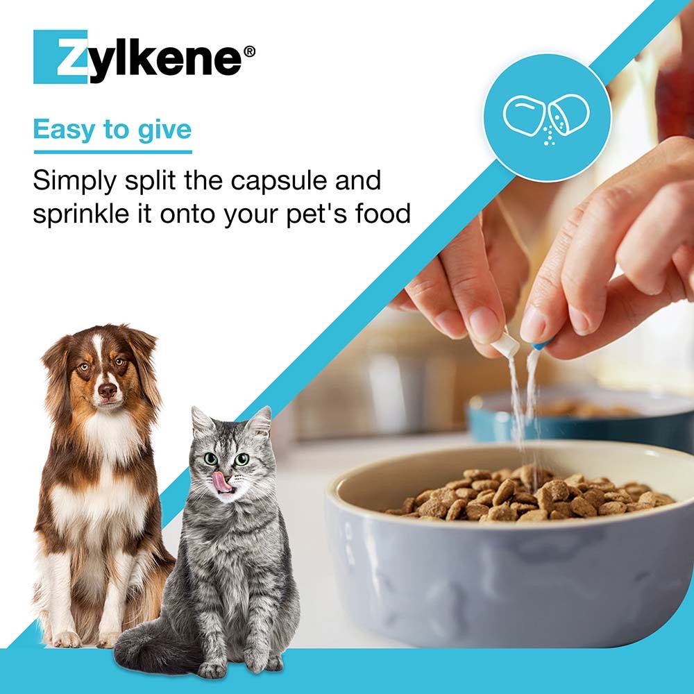 Zylkene Behavioural Support 20 caps image 11