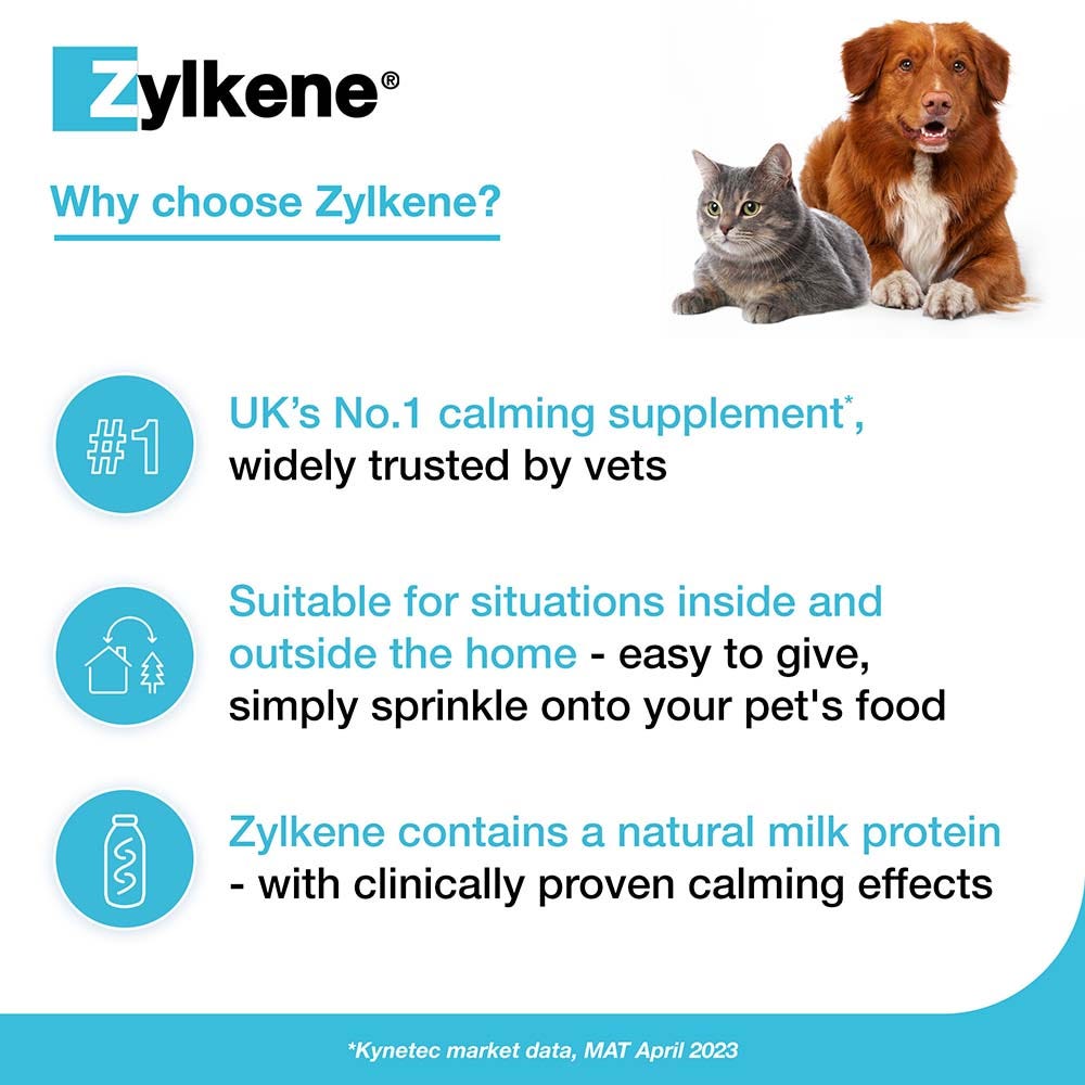 Zylkene Behavioural Support 20 caps image 13