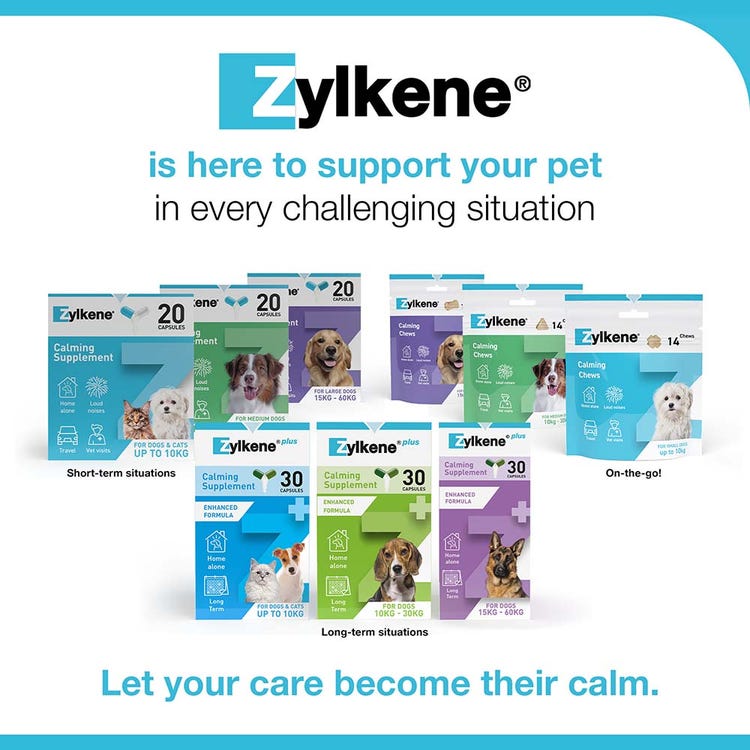 Zylkene Behavioural Support 20 caps image 16