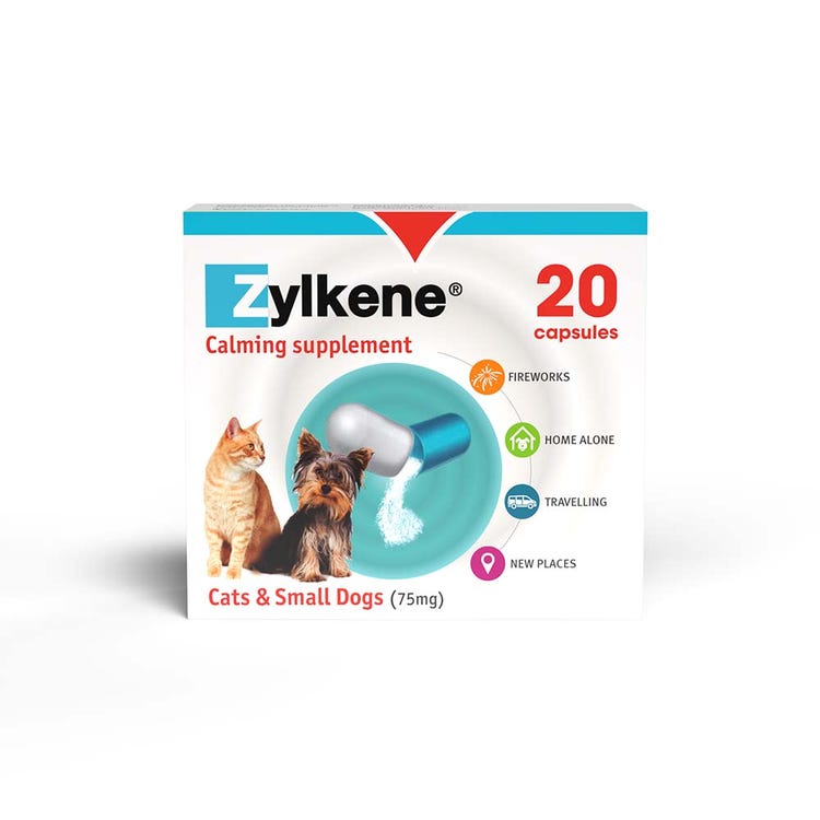 Zylkene Behavioural Support 20 caps image 1