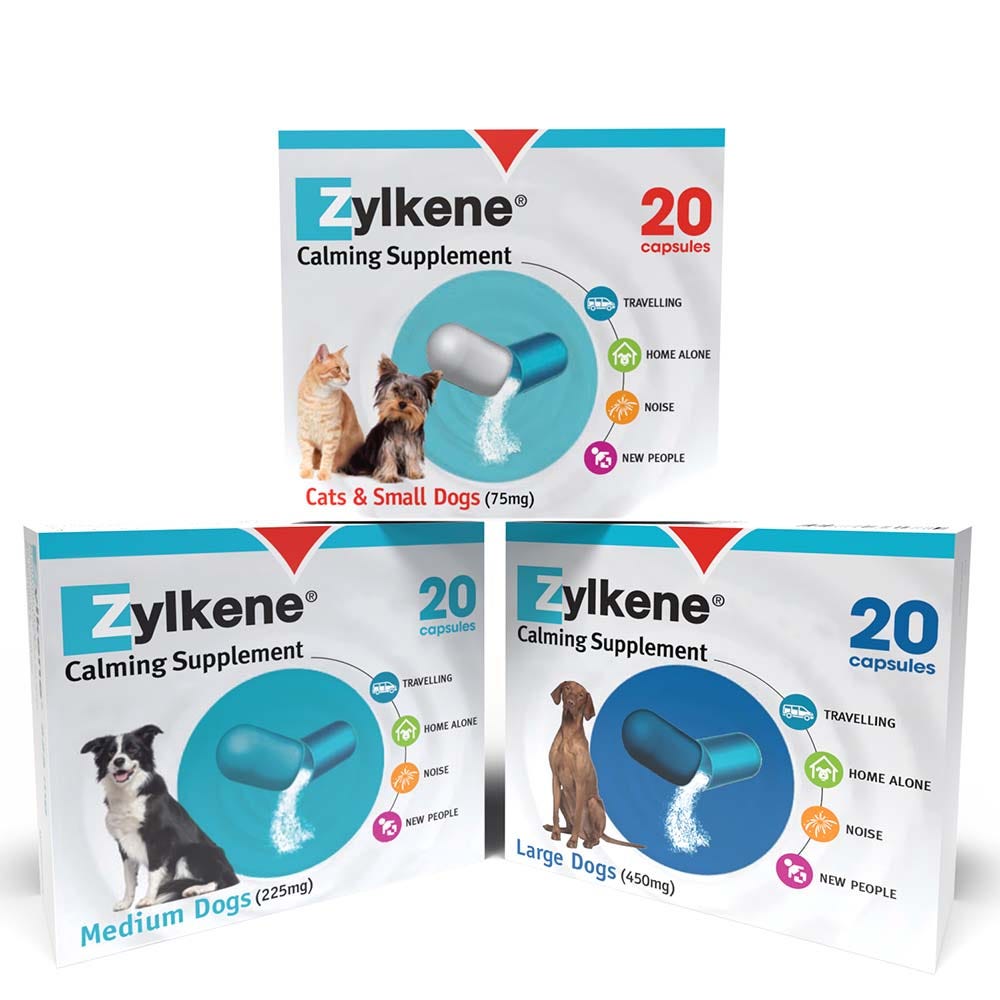 Zylkene Behavioural Support 20 caps image 4