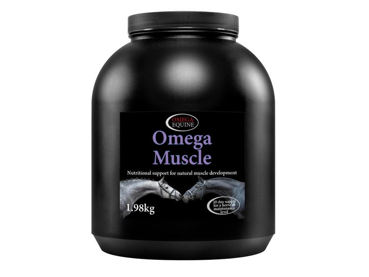 Omega Equine Muscle image 1