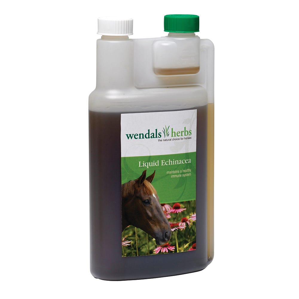 Wendals Liquid Echinacea image 1