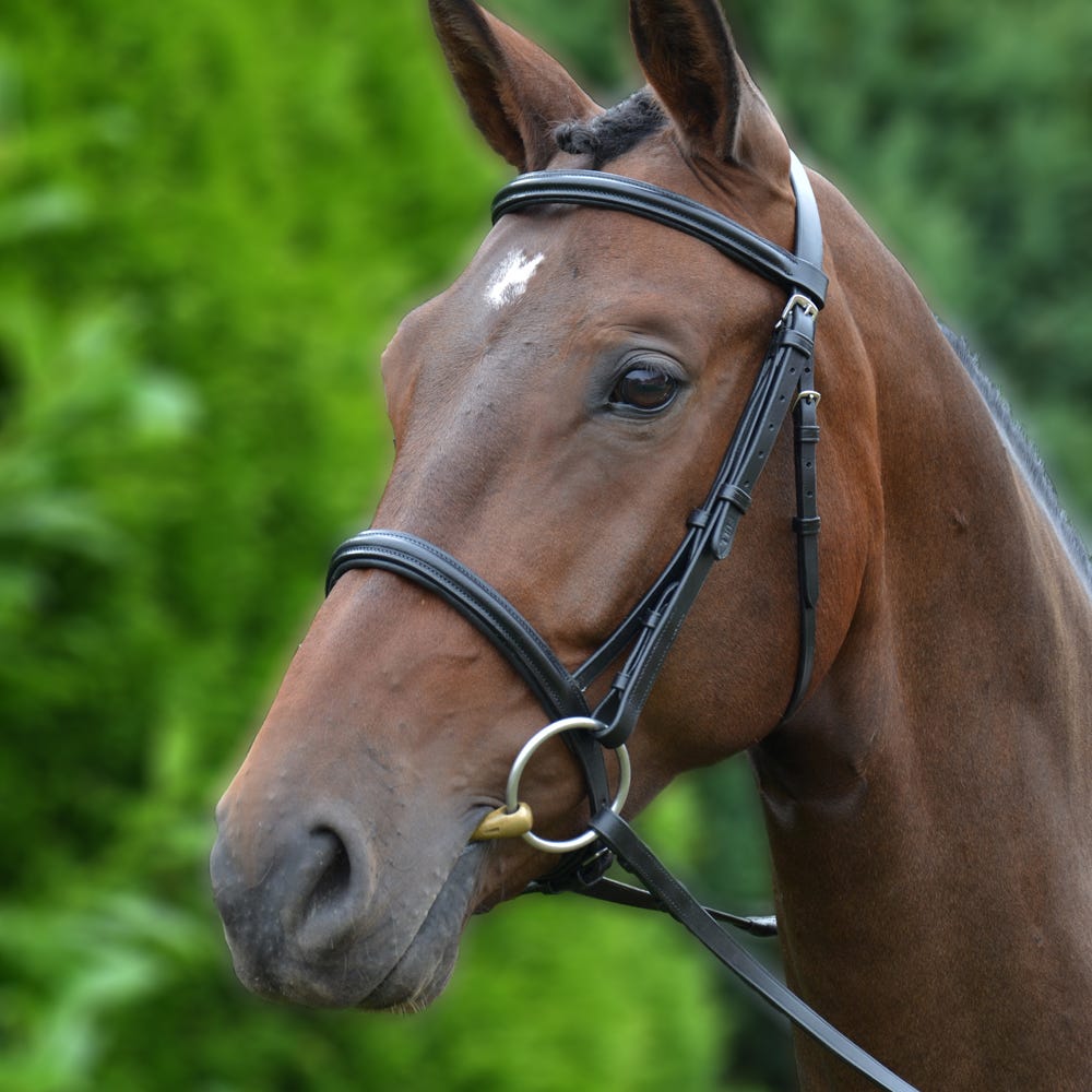 Hy Equestrian Padded Cavesson Bridle with Rubber Grip Reins image 1