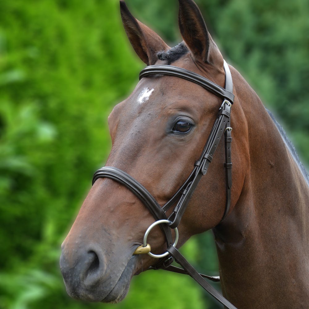 Hy Equestrian Padded Cavesson Bridle with Rubber Grip Reins image 3