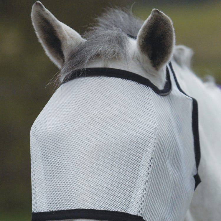 Hy Equestrian Fly Eye Shield image 2