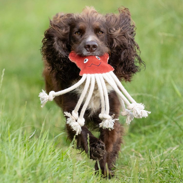 Benji &amp; Flo Crazy Faces Dog Toys - Inky The Octopus image 2