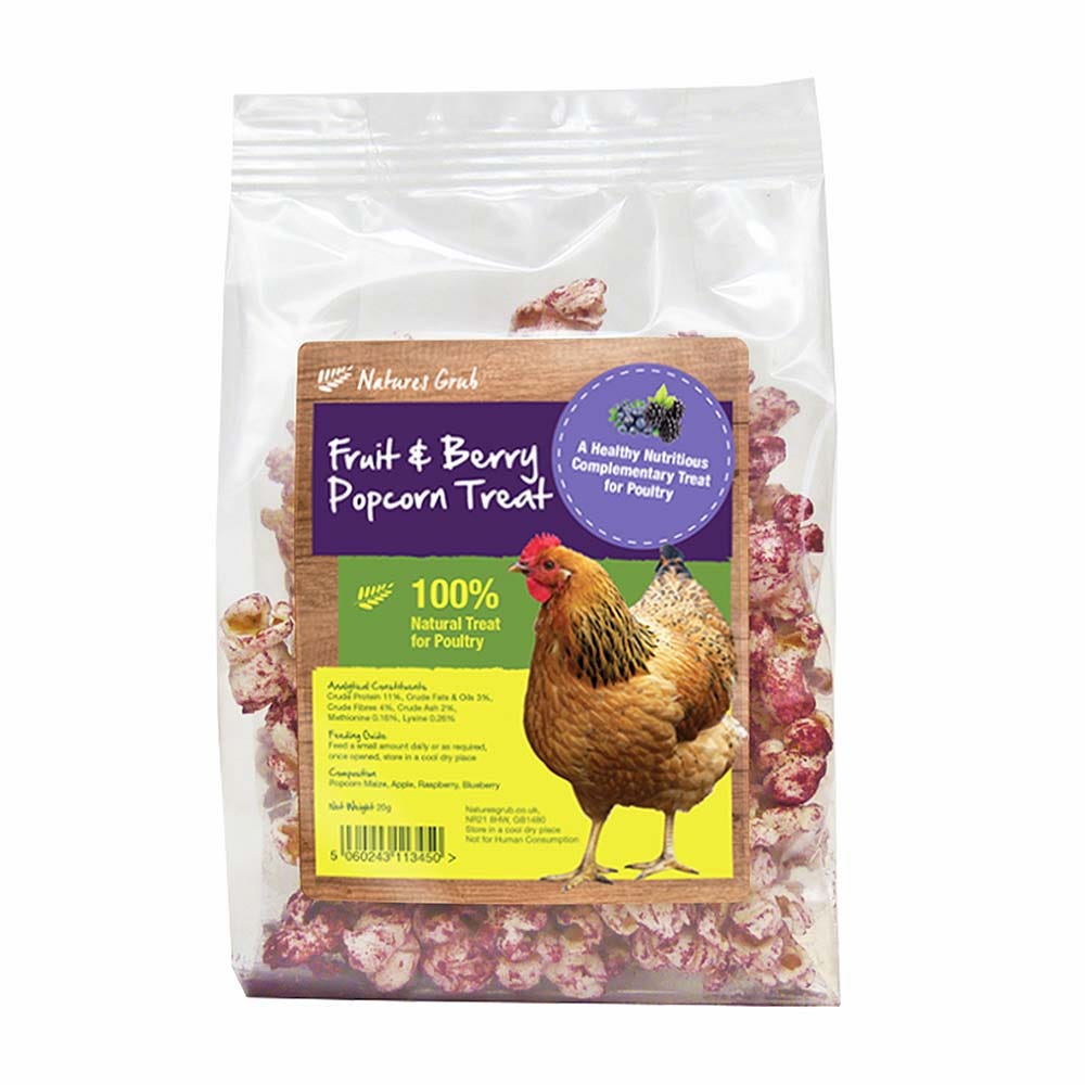 Natures Grub Popcorn Treat With Fruit image 1