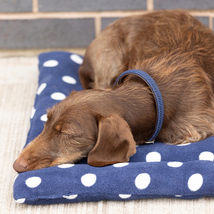 Supreme Products Dotty Fleece Dog Bed image 2