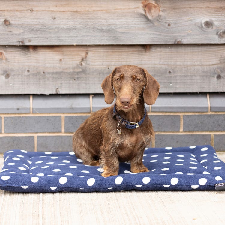 Supreme Products Dotty Fleece Dog Bed image 1