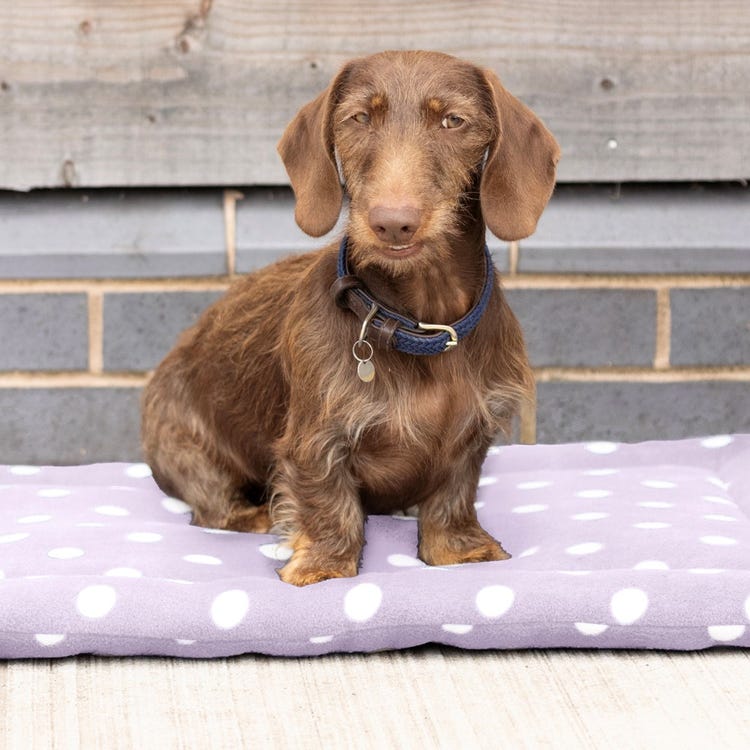 Supreme Products Dotty Fleece Dog Bed image 1