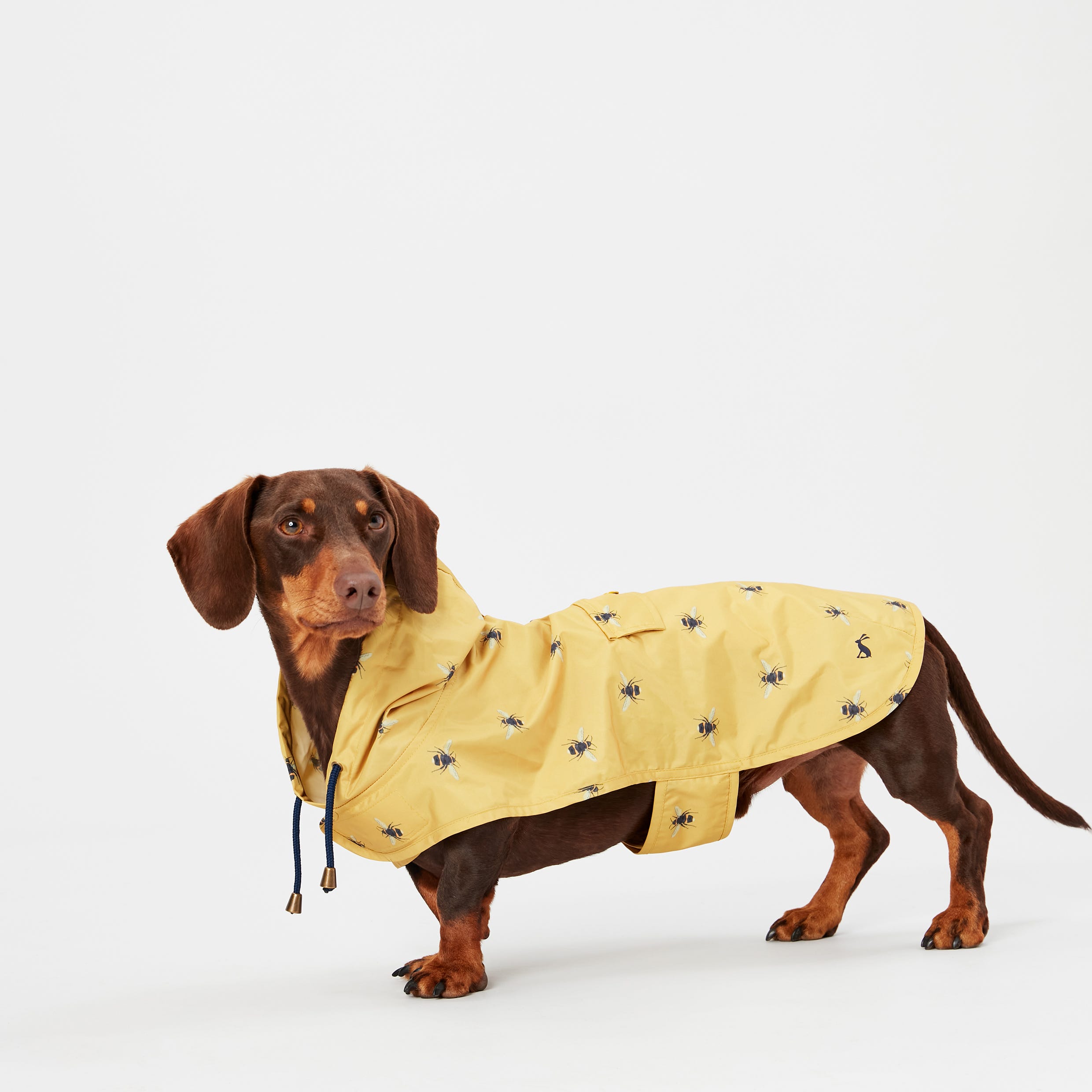 Joules GoLightly Packaway Jacket image 7