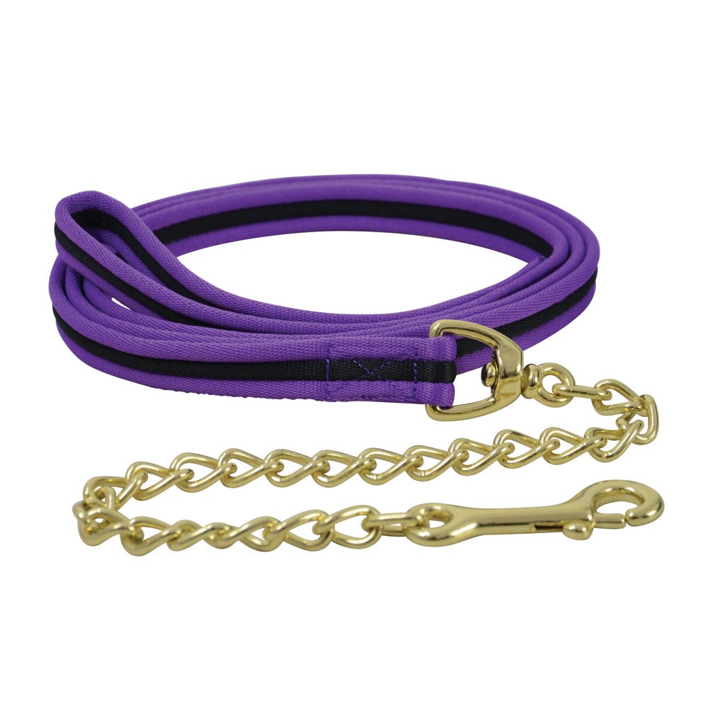 Hy Equestrian Soft Webbing Lead Rein With Chain image 6