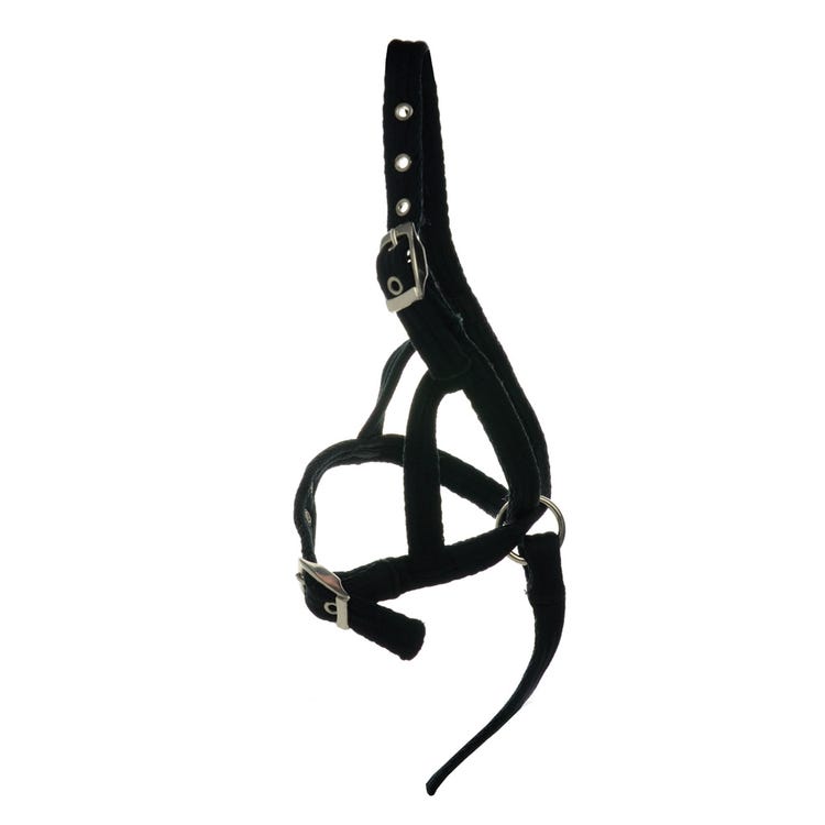 Hy Equestrian Foal Slip Halter image 1