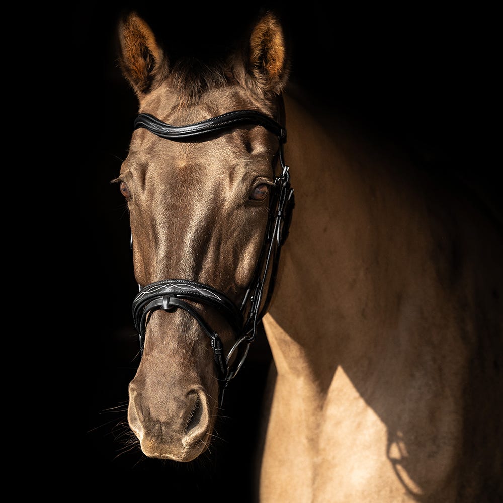 ProPresicce Pelle Raised Flash Leather Bridle by Hy Equestrian image 4