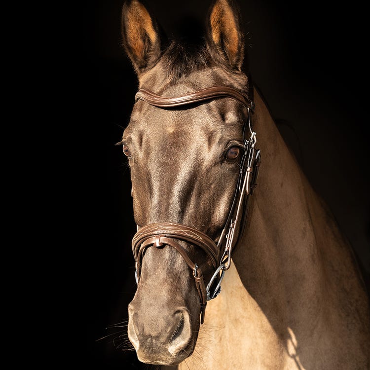 ProPresicce Pelle Raised Flash Leather Bridle by Hy Equestrian image 5
