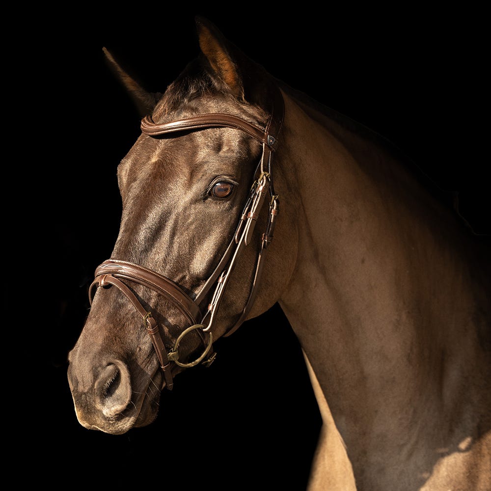 ProPresicce Pelle Raised Flash Leather Bridle by Hy Equestrian image 6