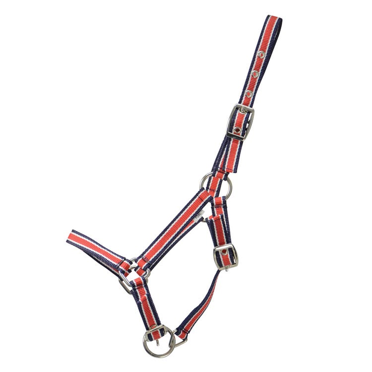 Hy Equestrian Foal Plus Head Collar image 1