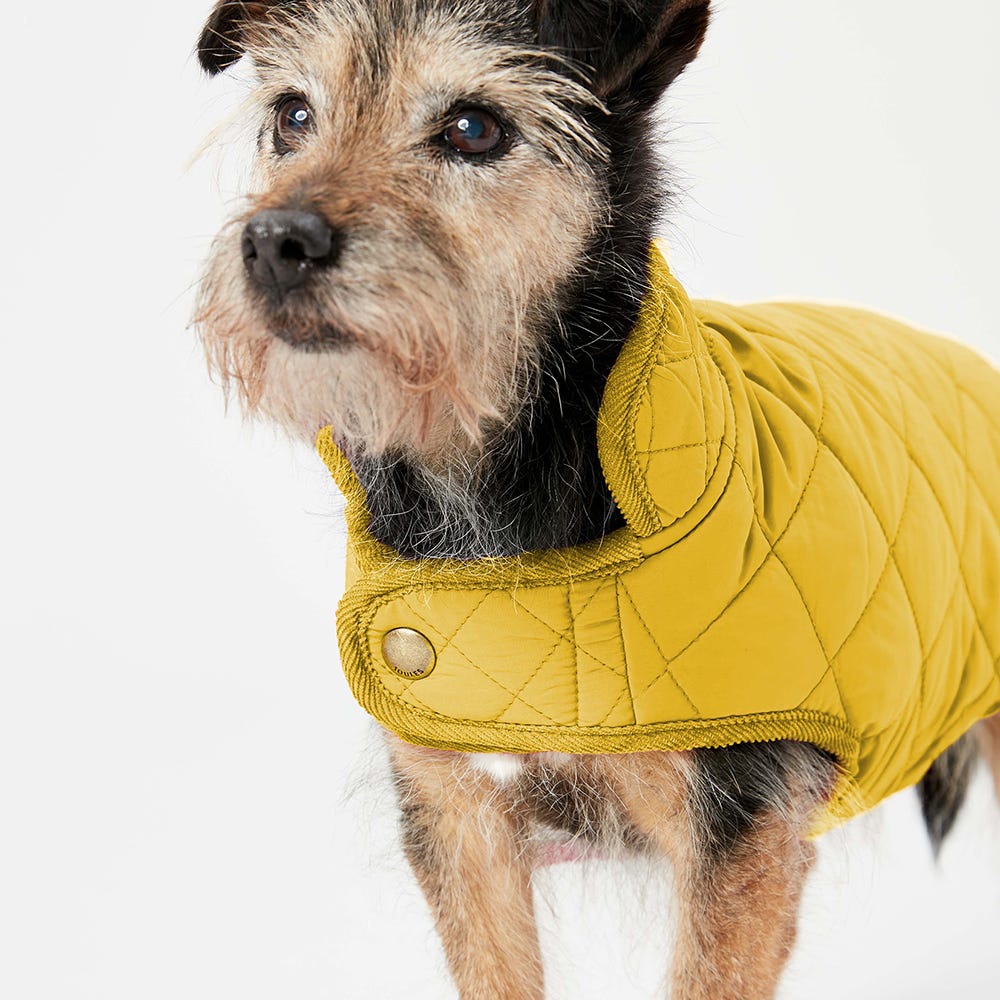 Joules Quilted Dog Coat image 8